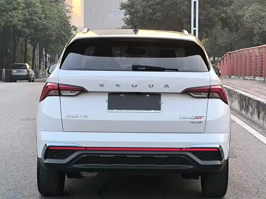 Skoda Kamiq 2022 из CN, фото 8