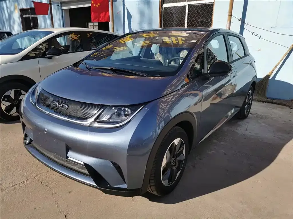 [object Object] Dolphin 2025 из CN, фото 2