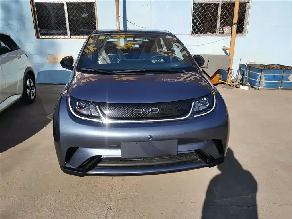 [object Object] Dolphin 2025 из CN, фото 3