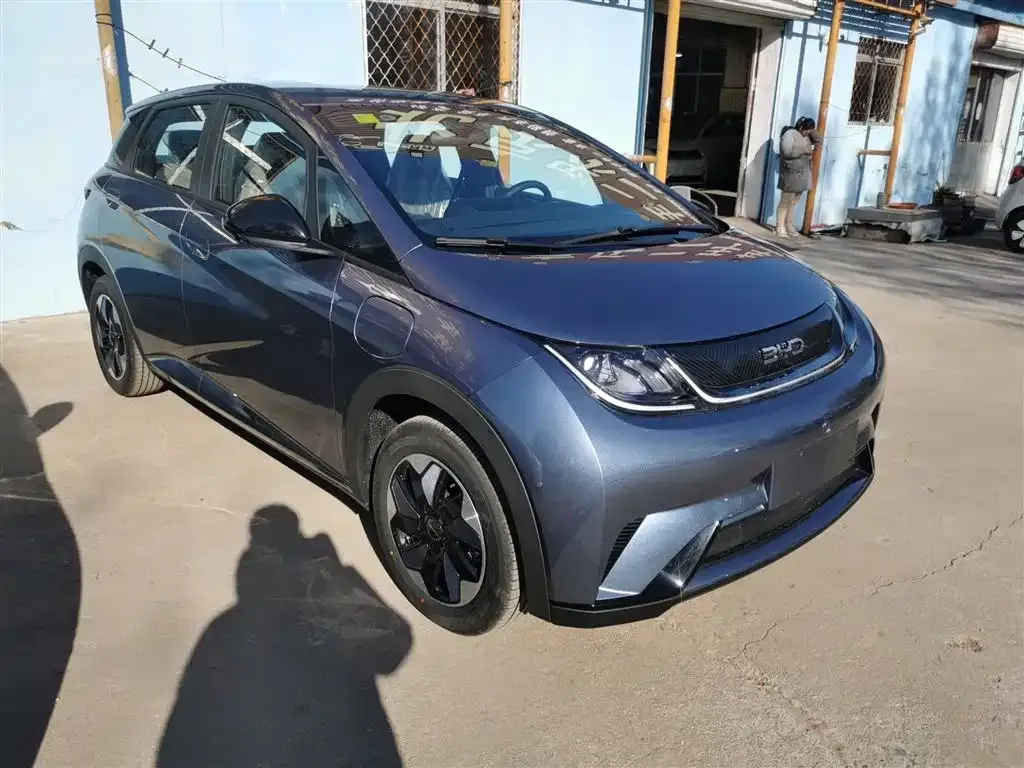 [object Object] Dolphin 2025 из CN, фото 4