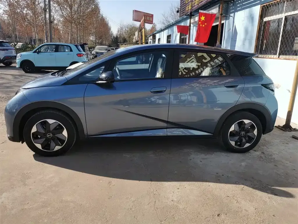 [object Object] Dolphin 2025 из CN, фото 5