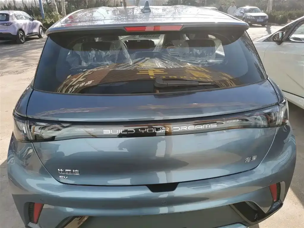 [object Object] Dolphin 2025 из CN, фото 6