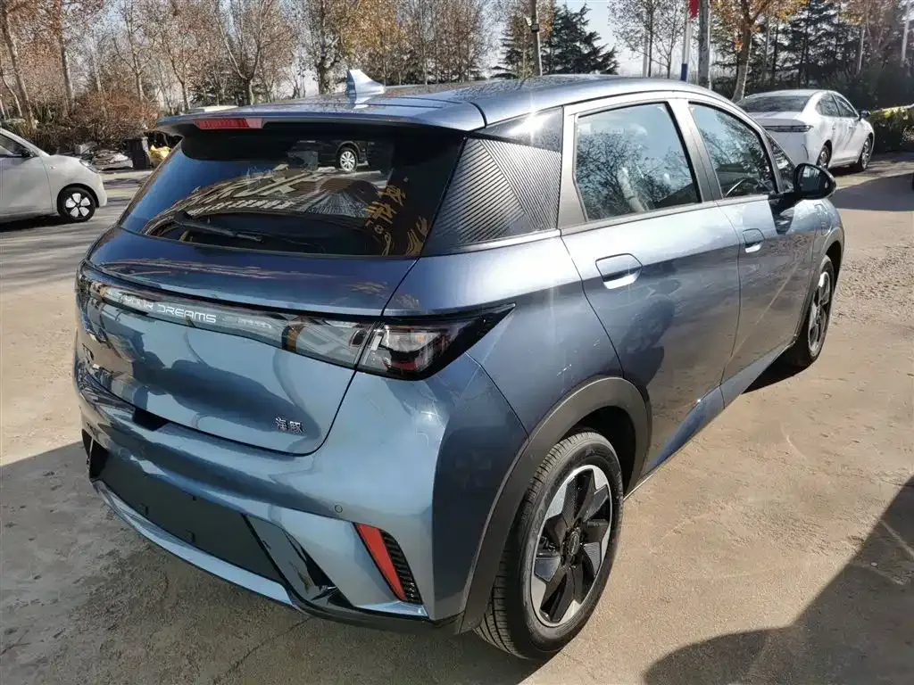 [object Object] Dolphin 2025 из CN, фото 7