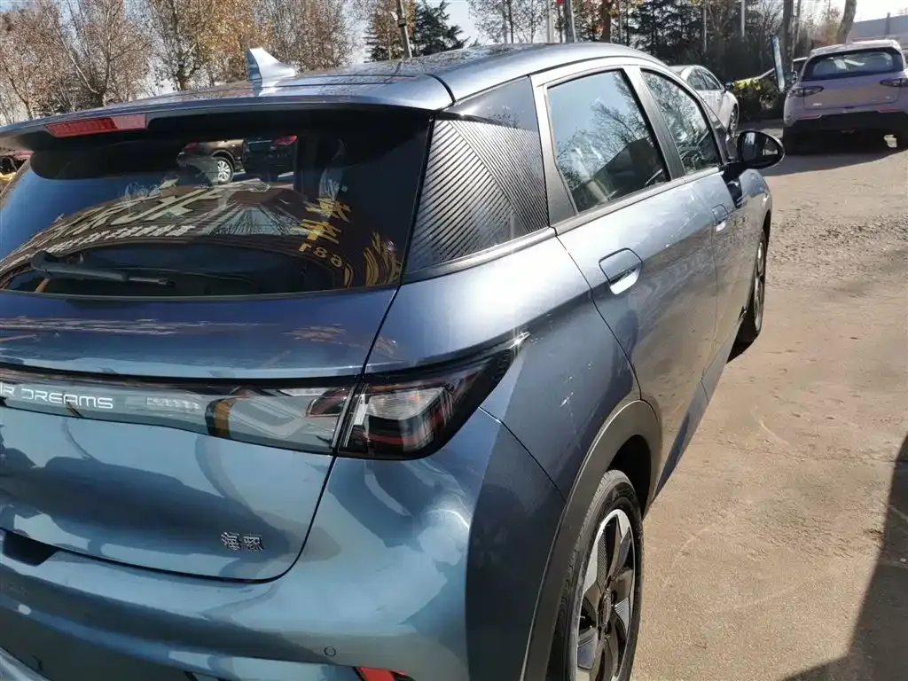 [object Object] Dolphin 2025 из CN, фото 8