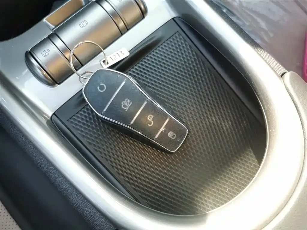 [object Object] Dolphin 2025 из CN, фото 9