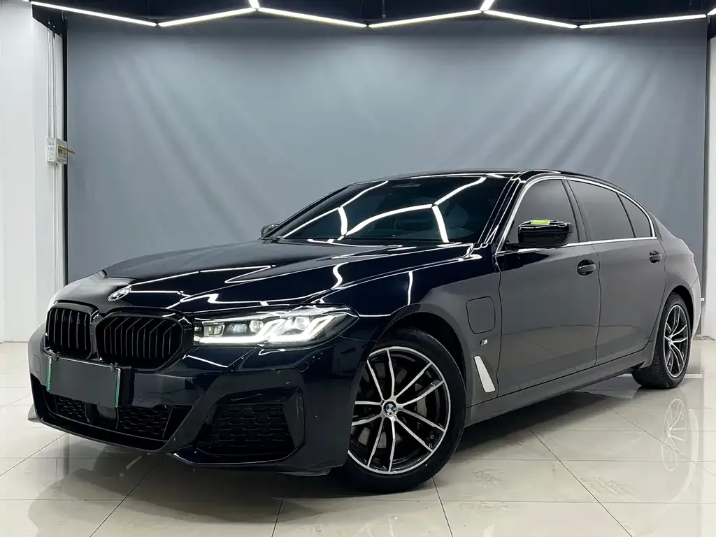 BMW 5 Series New Energy 2021 из CN, фото 1