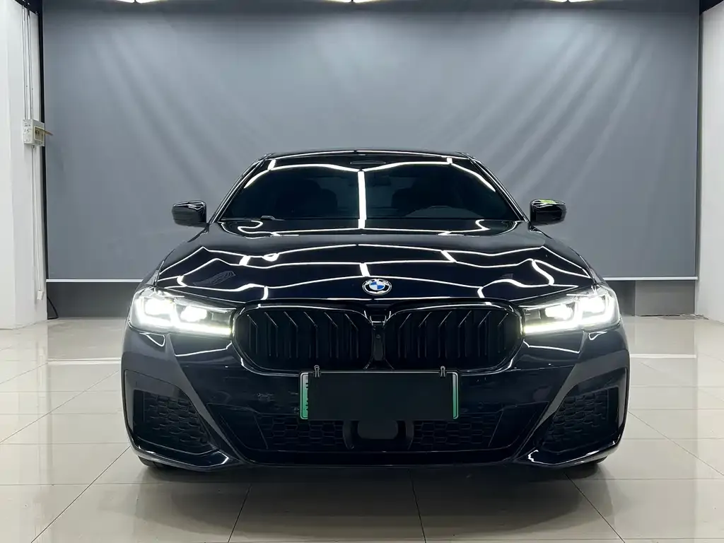 BMW 5 Series New Energy 2021 из CN, фото 10