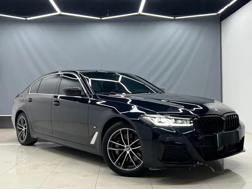 BMW 5 Series New Energy 2021 из CN, фото 8