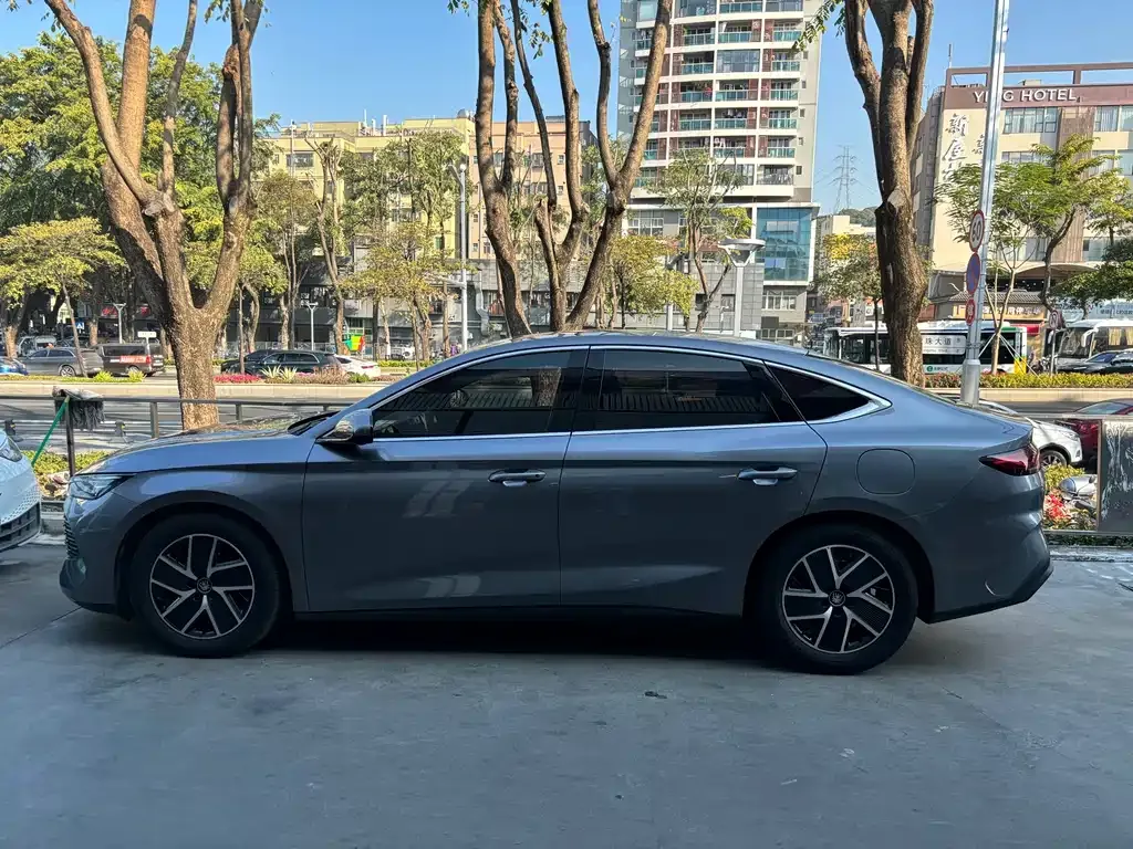 BYD Qin L 2024 из CN, фото 10