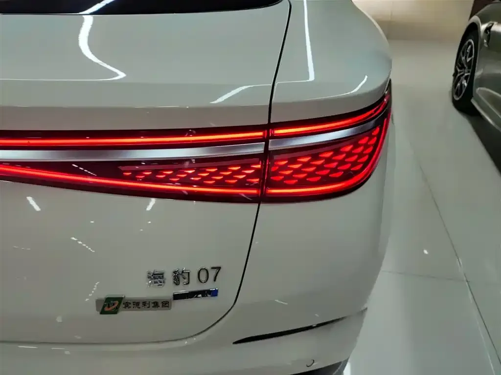 BYD Seal 07 DM-i 2025 из CN, фото 8