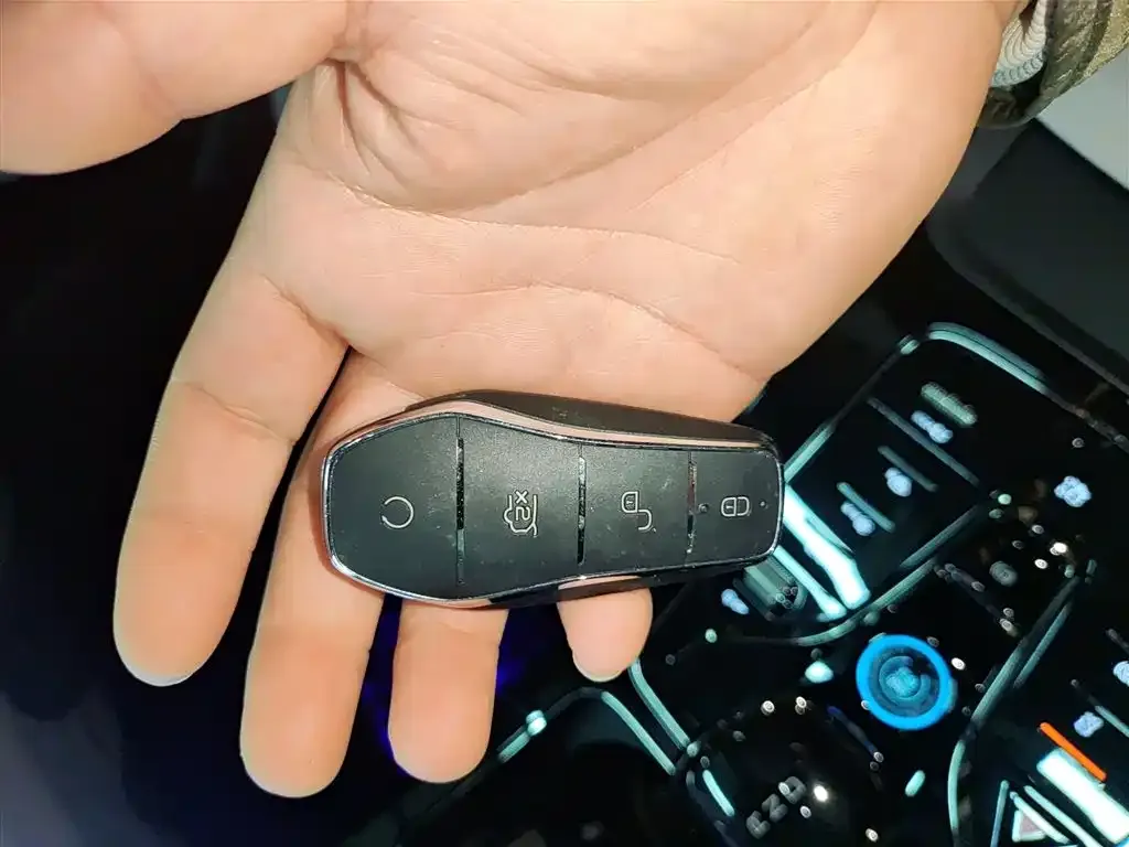 BYD Seal 07 DM-i 2025 из CN, фото 9