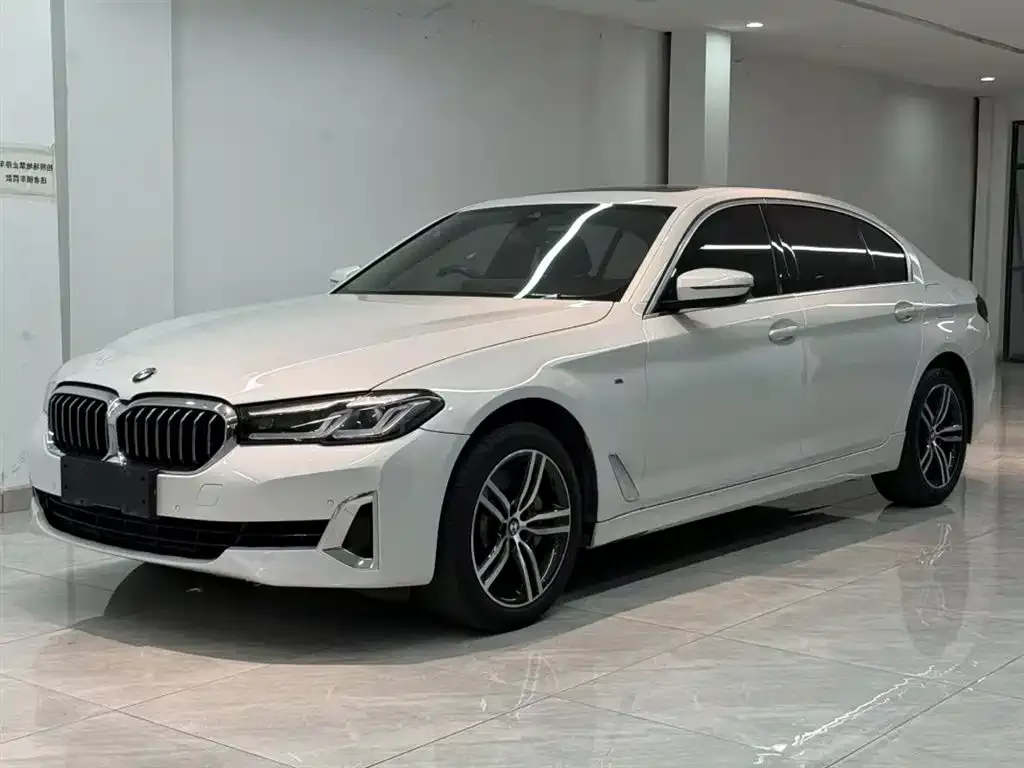 BMW 5 Series 2021 из CN, фото 1