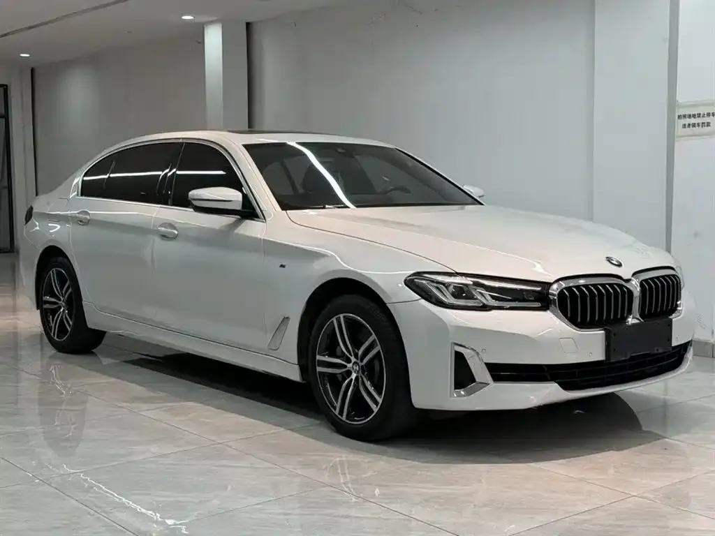 BMW 5 Series 2021 из CN, фото 8