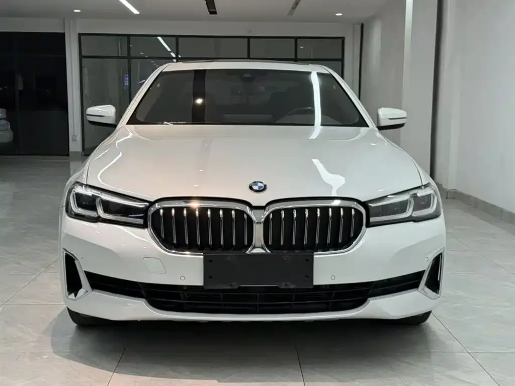 BMW 5 Series 2021 из CN, фото 7