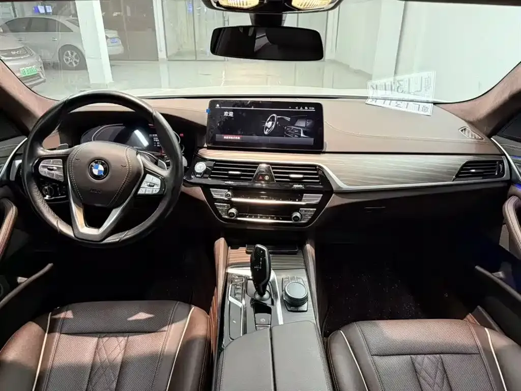 BMW 5 Series 2021 из CN, фото 4