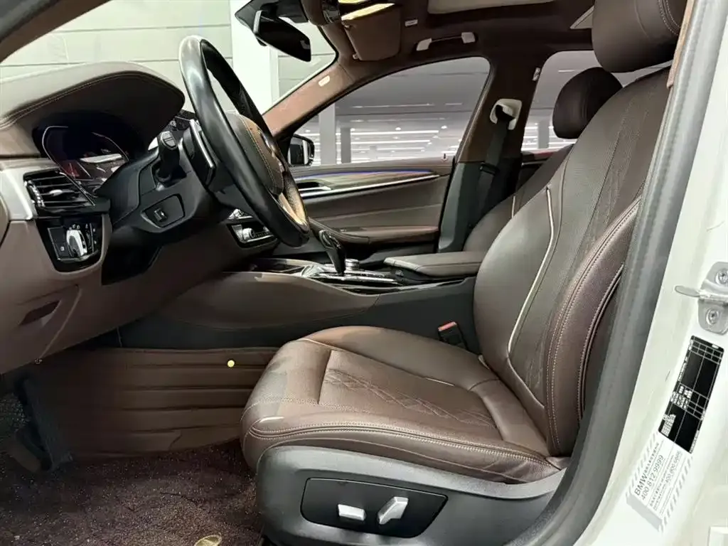 BMW 5 Series 2021 из CN, фото 9