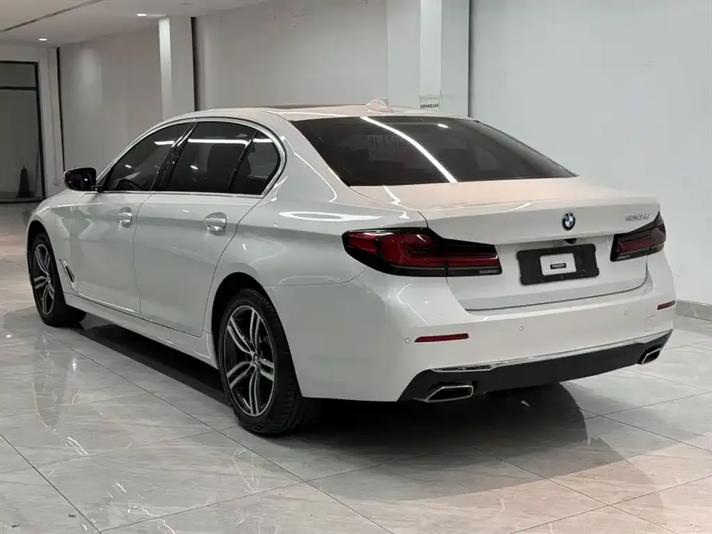 BMW 5 Series 2021 из CN, фото 2