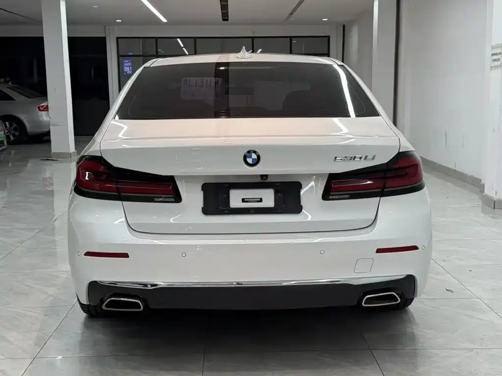 BMW 5 Series 2021 из CN, фото 6
