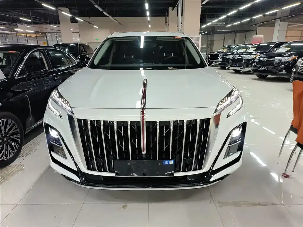 Hongqi HS3 PHEV 2025 из CN, фото 5