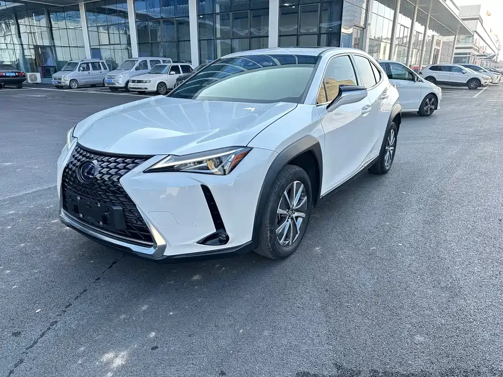 Lexus UX New Energy 2021 из CN, фото 1