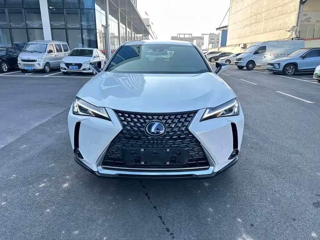 Lexus UX New Energy 2021 из CN, фото 10