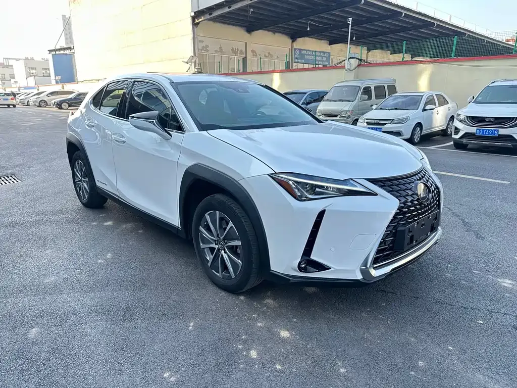 Lexus UX New Energy 2021 из CN, фото 4