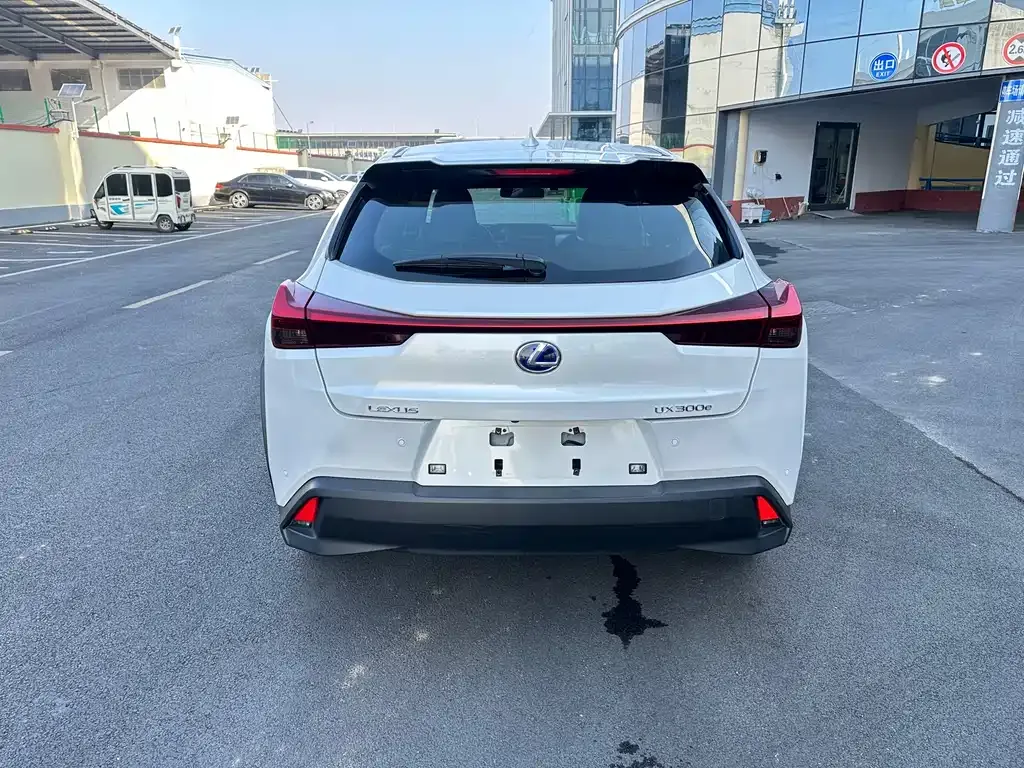 Lexus UX New Energy 2021 из CN, фото 8