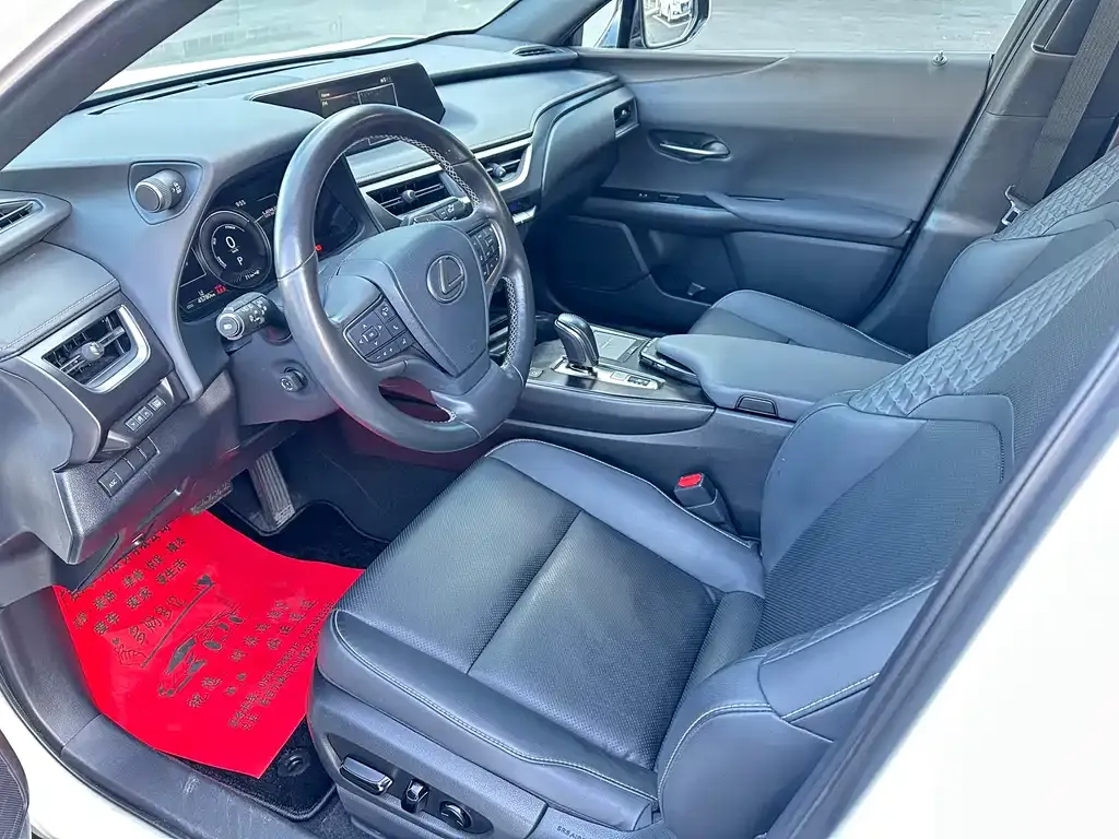 Lexus UX New Energy 2021 из CN, фото 9