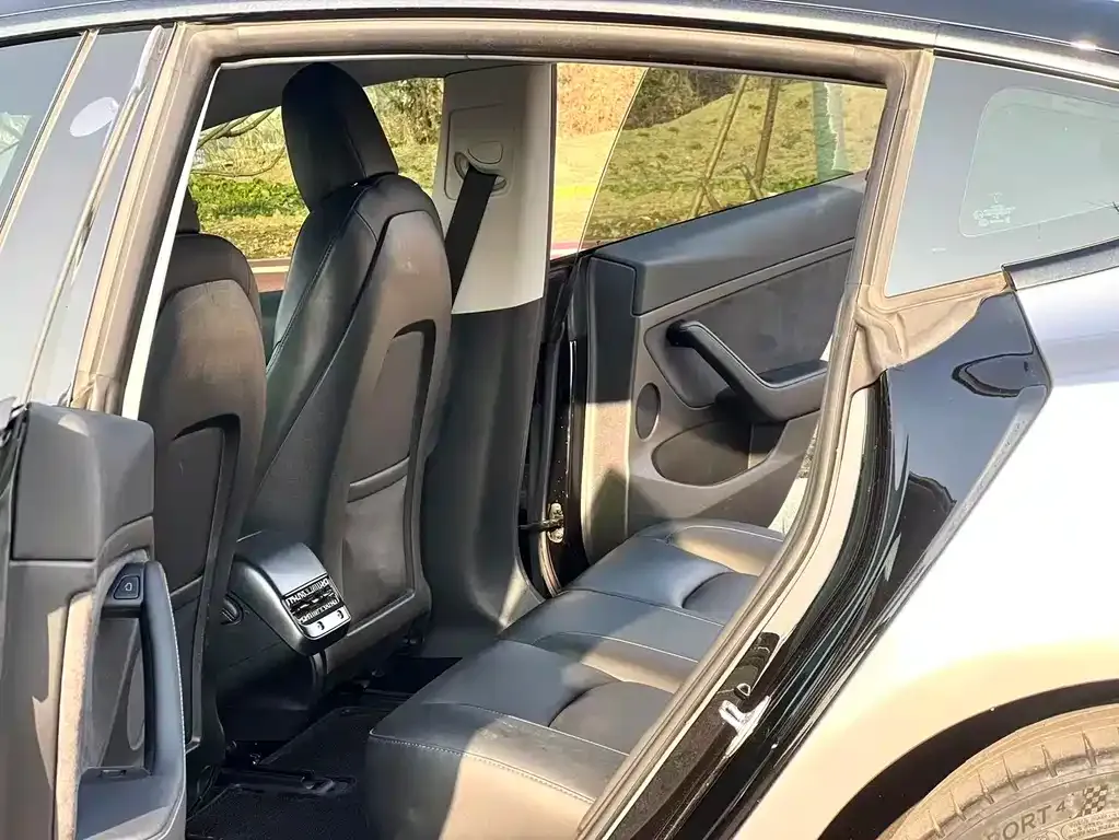 Tesla Model 3 2021 из CN, фото 10