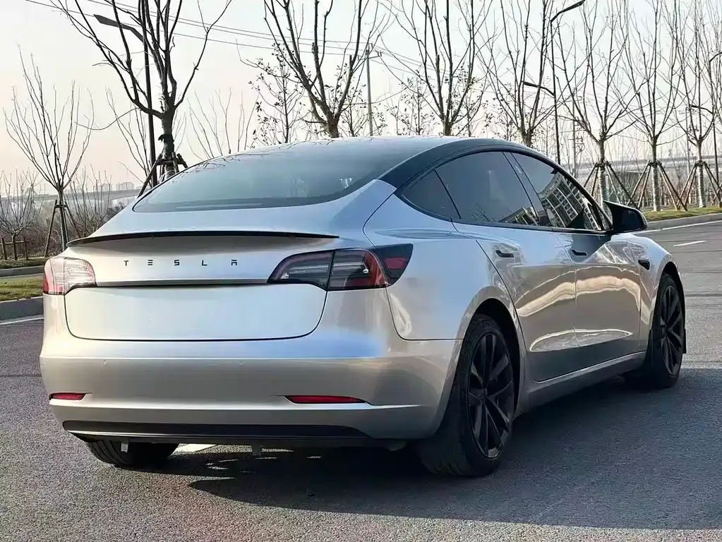Tesla Model 3 2021 из CN, фото 5