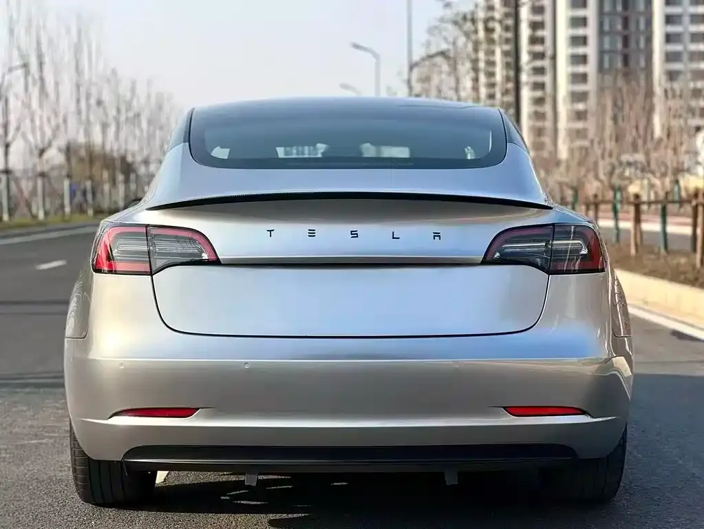 Tesla Model 3 2021 из CN, фото 6