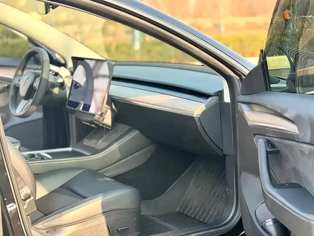 Tesla Model 3 2021 из CN, фото 2