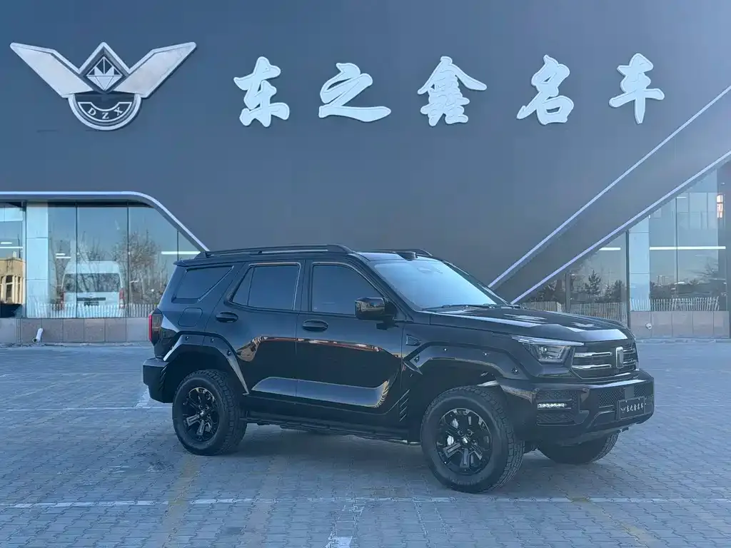 Tank 400 New Energy 2025 из CN, фото 7