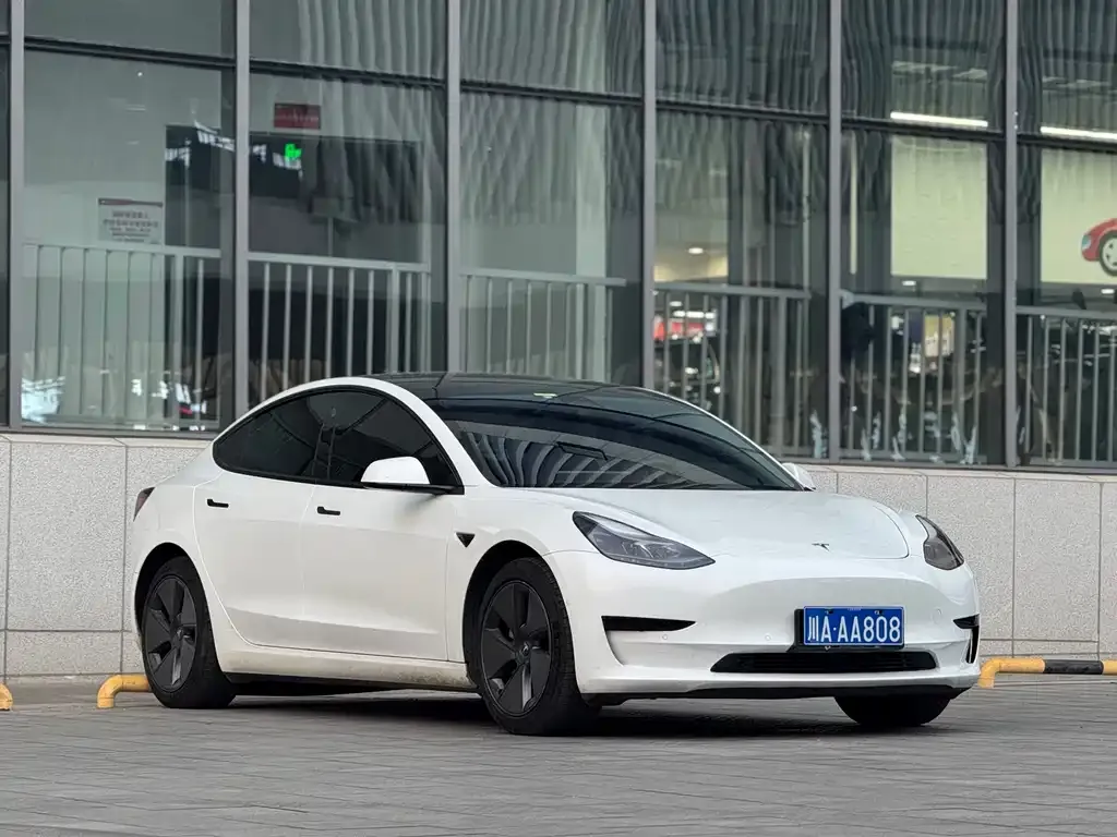 Tesla Model 3 2021 из CN, фото 1