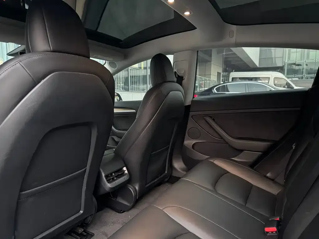 Tesla Model 3 2021 из CN, фото 3