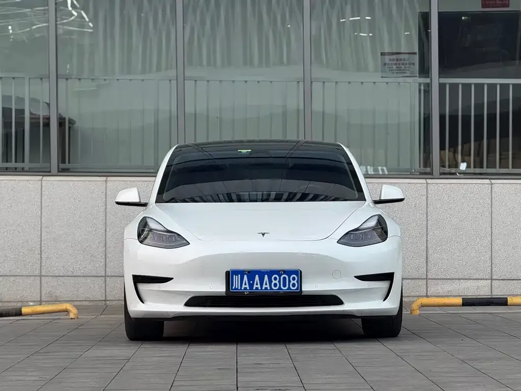 Tesla Model 3 2021 из CN, фото 10