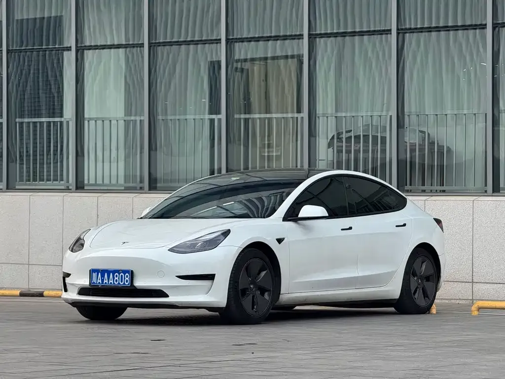 Tesla Model 3 2021 из CN, фото 6