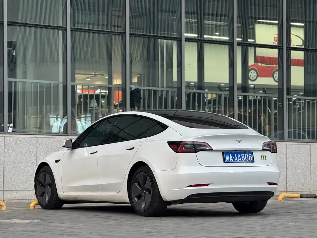 Tesla Model 3 2021 из CN, фото 7