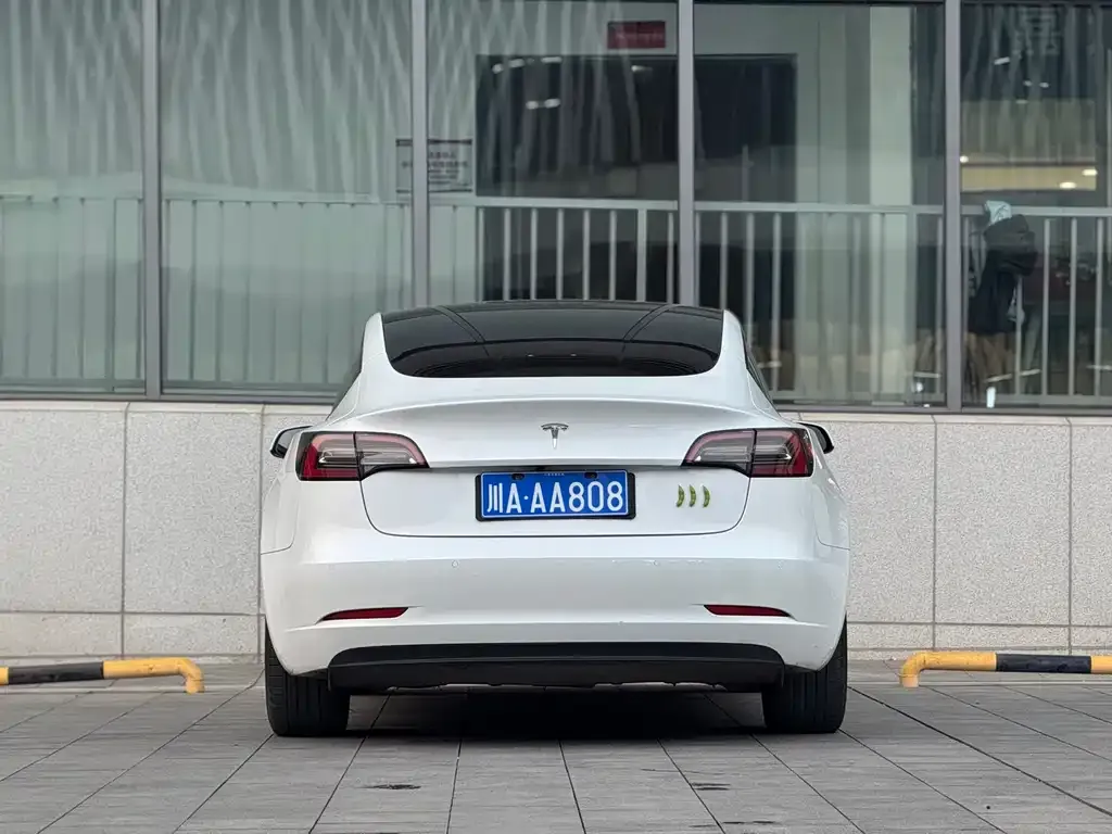 Tesla Model 3 2021 из CN, фото 4