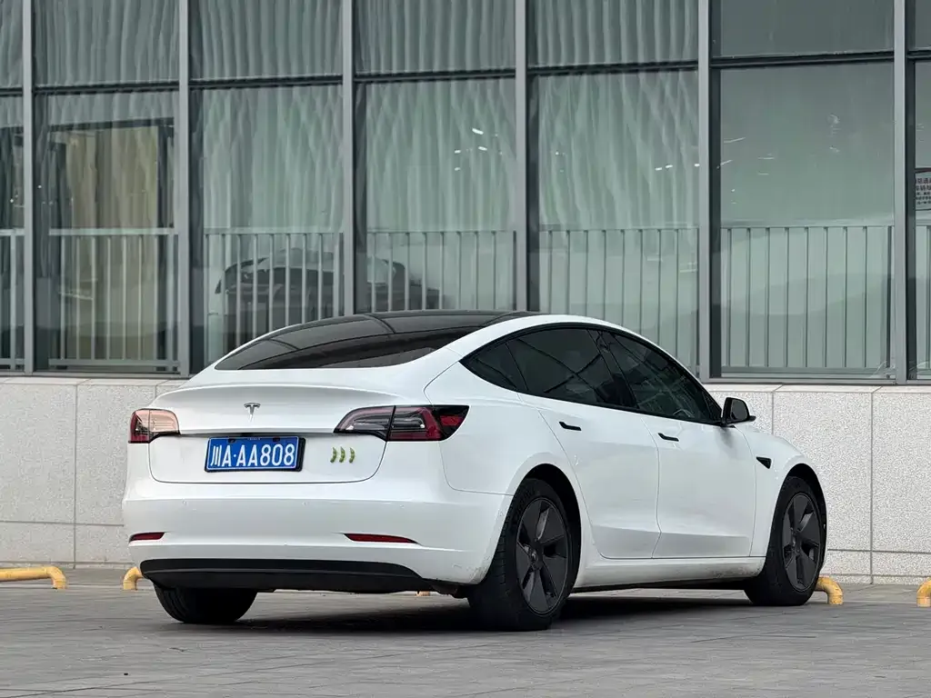 Tesla Model 3 2021 из CN, фото 2