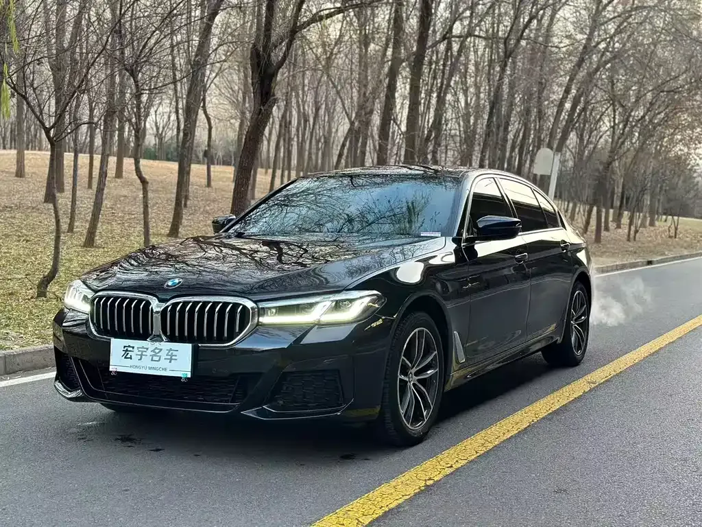 BMW 5 Series 2022 из CN, фото 1
