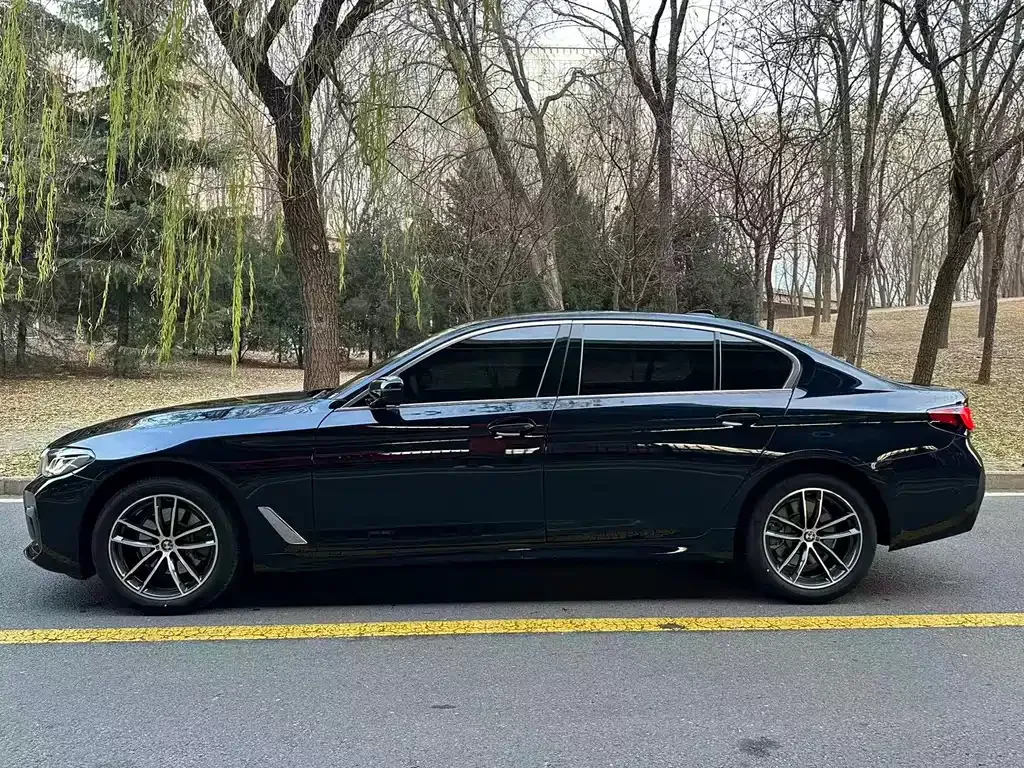 BMW 5 Series 2022 из CN, фото 9