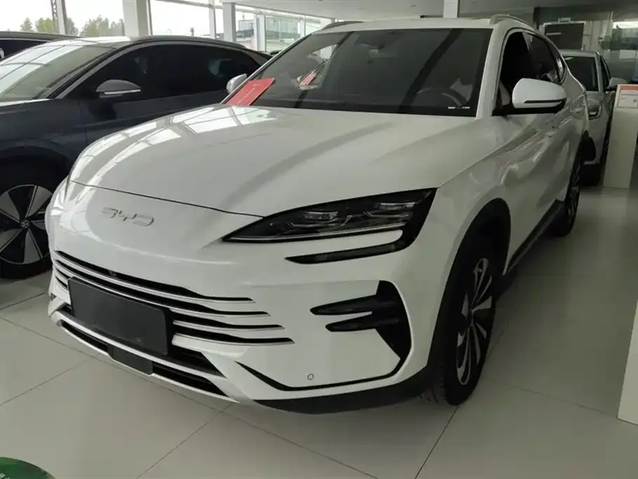 BYD PLUS New Energy 2023 из CN, фото 1