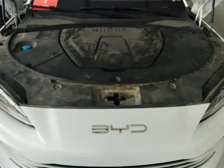 BYD PLUS New Energy 2023 из CN, фото 10