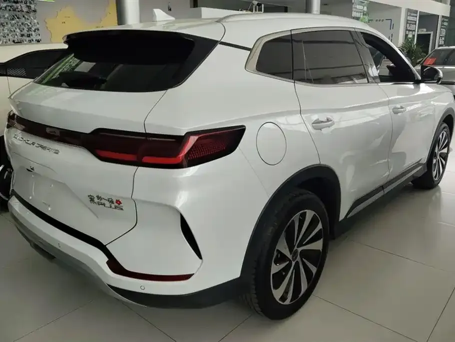BYD PLUS New Energy 2023 из CN, фото 3