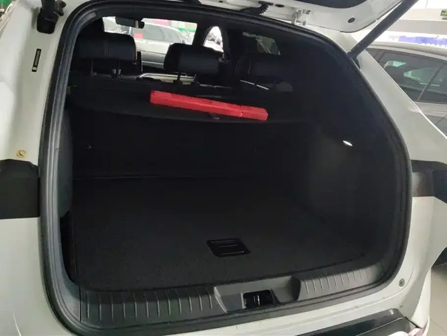 BYD PLUS New Energy 2023 из CN, фото 4