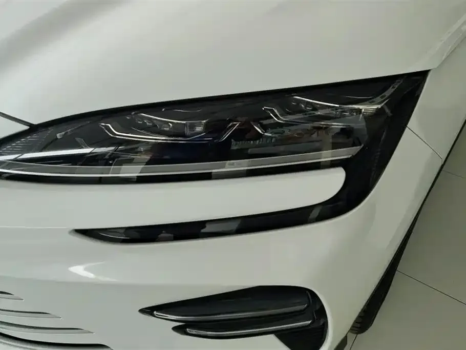 BYD PLUS New Energy 2023 из CN, фото 5