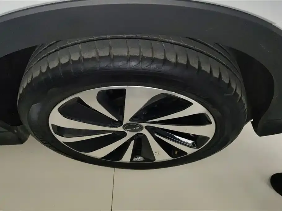 BYD PLUS New Energy 2023 из CN, фото 6