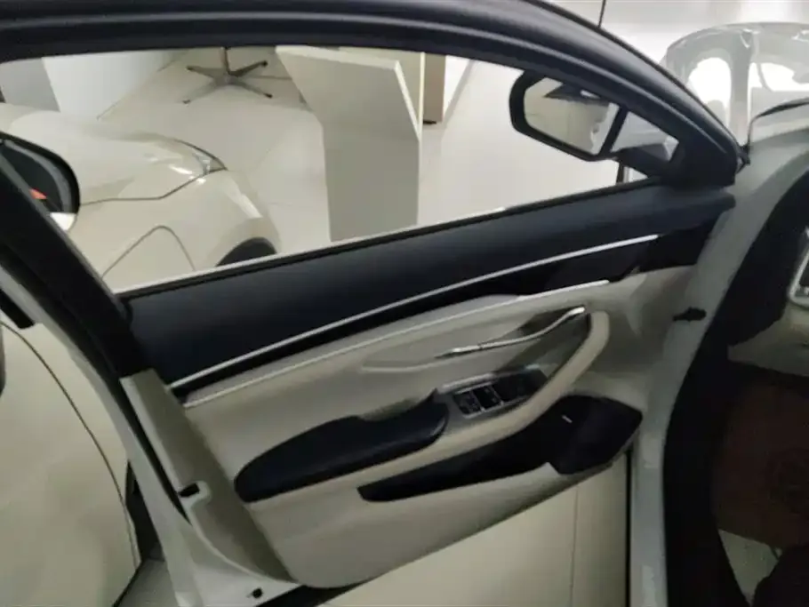 BYD PLUS New Energy 2023 из CN, фото 7