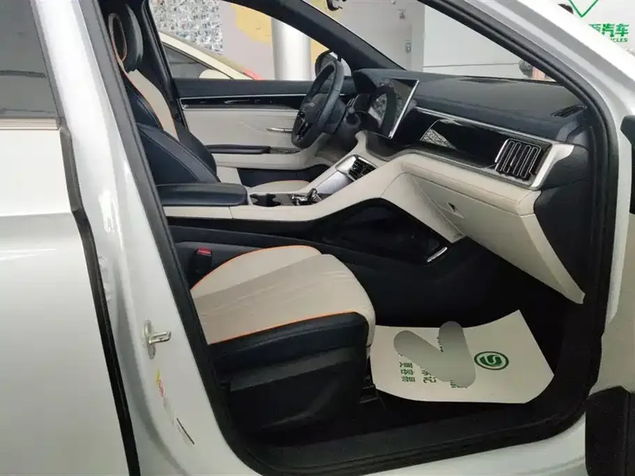 BYD PLUS New Energy 2023 из CN, фото 8